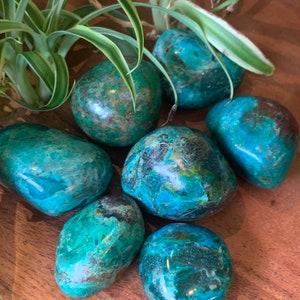 Tumbled Chrysocolla