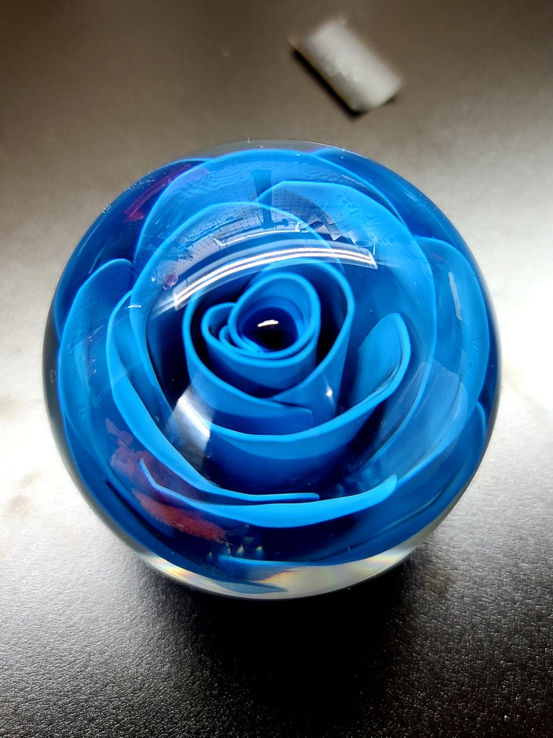 Shift Knob Custom Blue Rose Underwater 60mm Made to Order Free Etsy