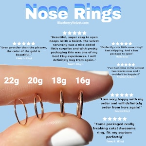 Nose Rings 22G 20G 18G 16G Piercing Jewelry Seamless Hoop Ring Body Piercing Nose Hoop Earrings