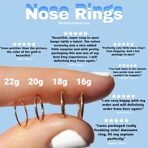 Unisex Nose Piercing Unisex Earrings Nose Hoops 20g 22g Nose Sterling Silver Nose Ring Unisex Nose Ring 20 Gauge Hoop For Men Guys Earring image 3