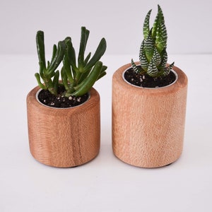 Set Sukkulenten Übertopf, handgefertigt aus NSW Oak, Indoor Übertopf, Weihnachtsgeschenk, Accessoires für Büro, Schreibtisch Dekor, made in Australia