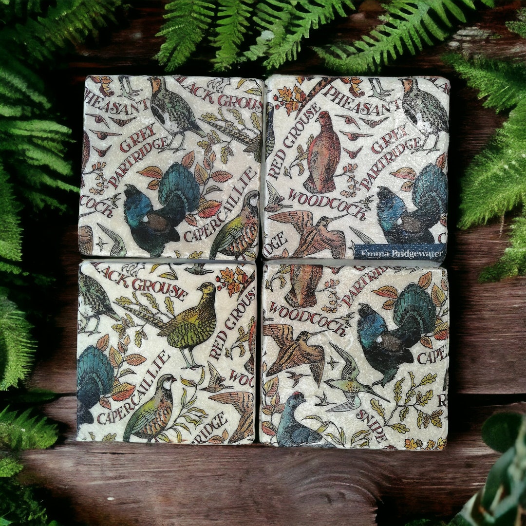 British Game Birds Marble Coasters: Set of 4 or 6 Chunky Stone Coasters ...