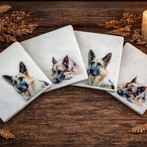 May include: A set of four square white stone coasters, each featuring a detailed color portrait of a German Shepherd dog. The coasters are arranged in a fan shape, displaying different poses of the dog, including alert and resting positions.