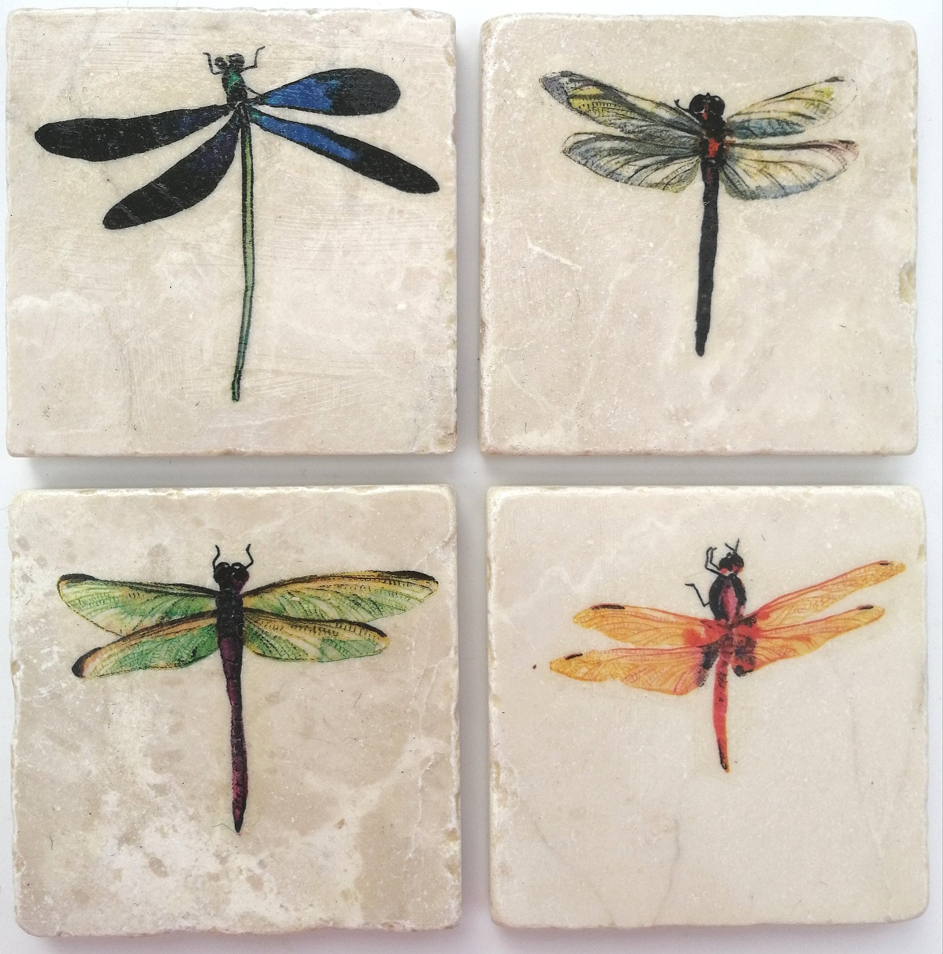 Küchen Fliesen mit Dekor Libelle auf 15x15cm Fliesen weiß Küchen Fliesen mit Dekor Libelle auf 15x15cm Fliesen weiß