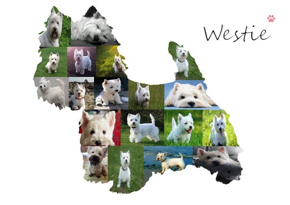 westie memorial