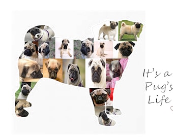 Pug Photo Collage Pet Memorial Dog Lover