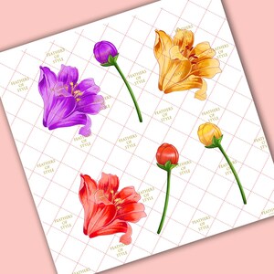 May include: Four floral illustrations with a white background. The flowers are a purple lily, a yellow lily, a red lily, and a yellow bud.