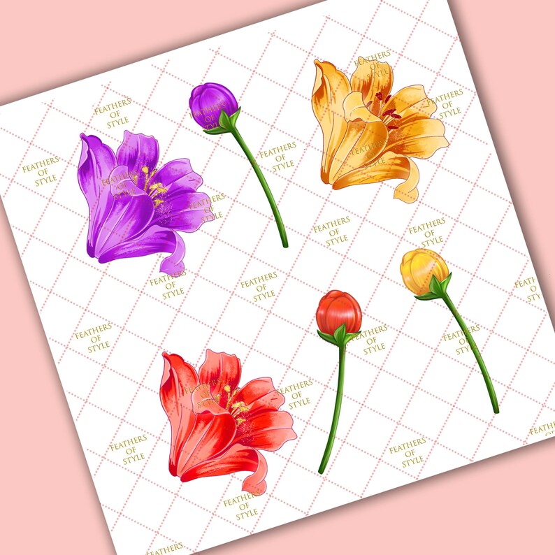 May include: Four floral illustrations with a white background. The flowers are a purple lily, a yellow lily, a red lily, and a yellow bud.