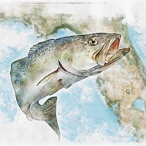 Speckled Trout Art Print | Vintage Florida Map, Signed Seatrout Decor