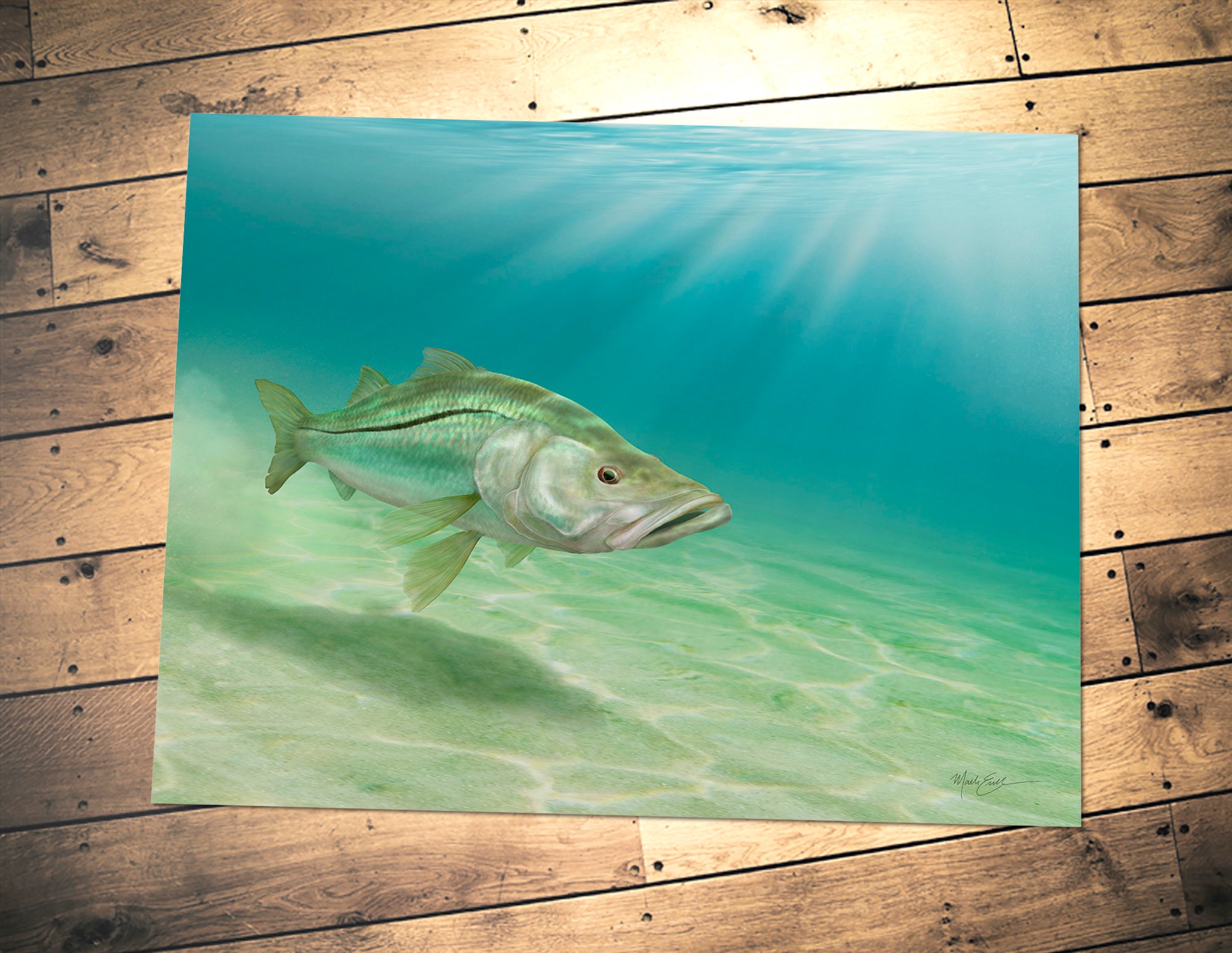 Snook Art Print Fishing Gift for a Saltwater Fisherman Gift Etsy UK