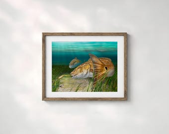 Redfish Art Print, Red Drum Fisherman Gift, Coastal Wall Art Decor for Florida, Texas, Louisiana, Georgia, Carolina and Virginia