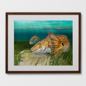 Redfish art print gift for a red drum fisherman, fishing wall art for Florida, Texas, Louisiana, Carolina coastal wall art decor