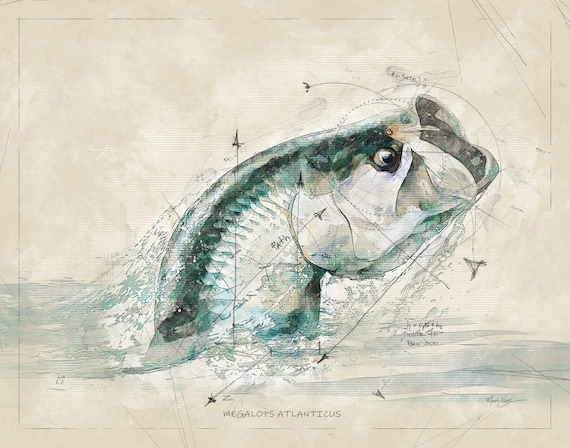 Tarpon Fly Fishing Art Print, Gift for Tarpon Fishermen, Tarpon