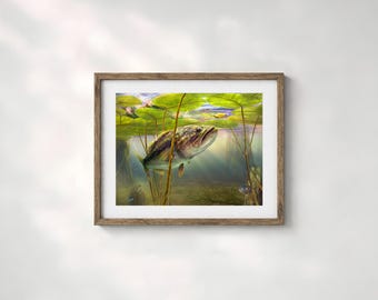 Largemouth Bass Art Print | Topwater Frog Lure, Signed Fishing Man Cave Decor and Gift for a Bass Fisherman