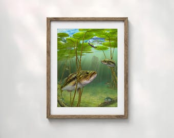 Bass fishing wall art print gift. Largemouth bass fisherman gift, fish camp décor, largemouth bass fishing gift for him