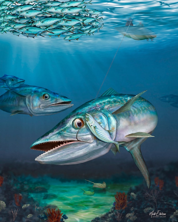 Kingfish Fishing Decor Wall Art Print A Great Fishing Gift Etsy