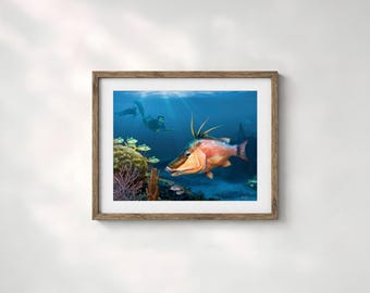 Hog snapper art print fish art spearfishing décor fishing gift, hogfish wall art gift for spear fisherman. Artist hand signed