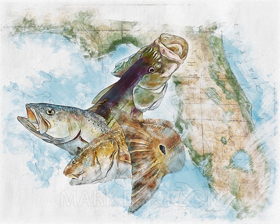 Inshore Florida Fishing Art Print Gift for Him, Inshore Slam Wall Décor,  Snook, Redfish, Trout Coastal Wall Art Fishing Valentine's Gift -   Canada