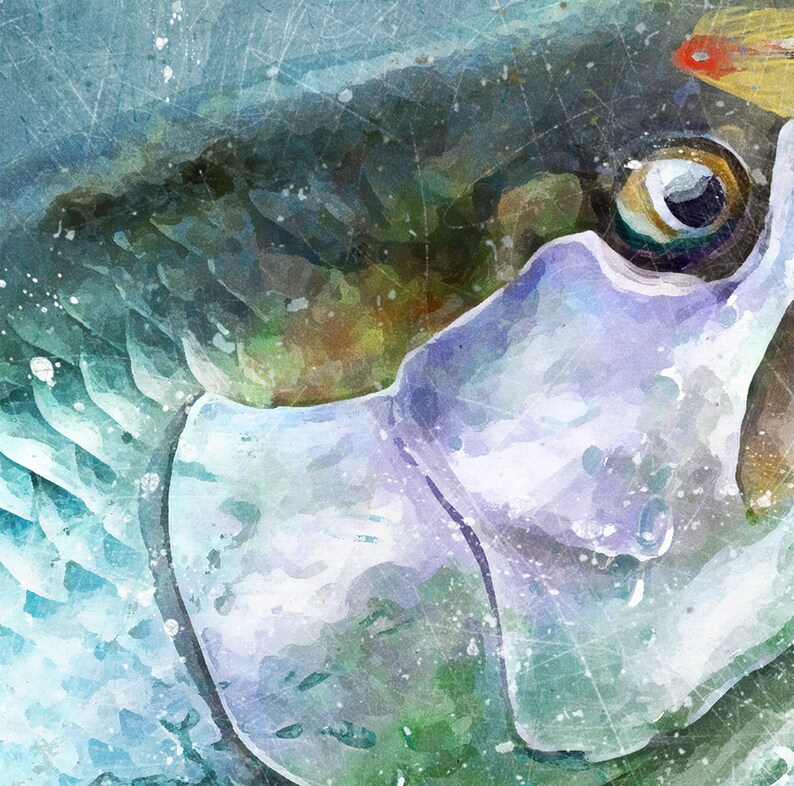 Tarpon fly fishing decor watercolor style tarpon art print
