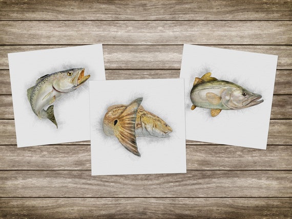 Inshore Slam Art Prints Gifts for Dad. Trout, Redfish and Snook