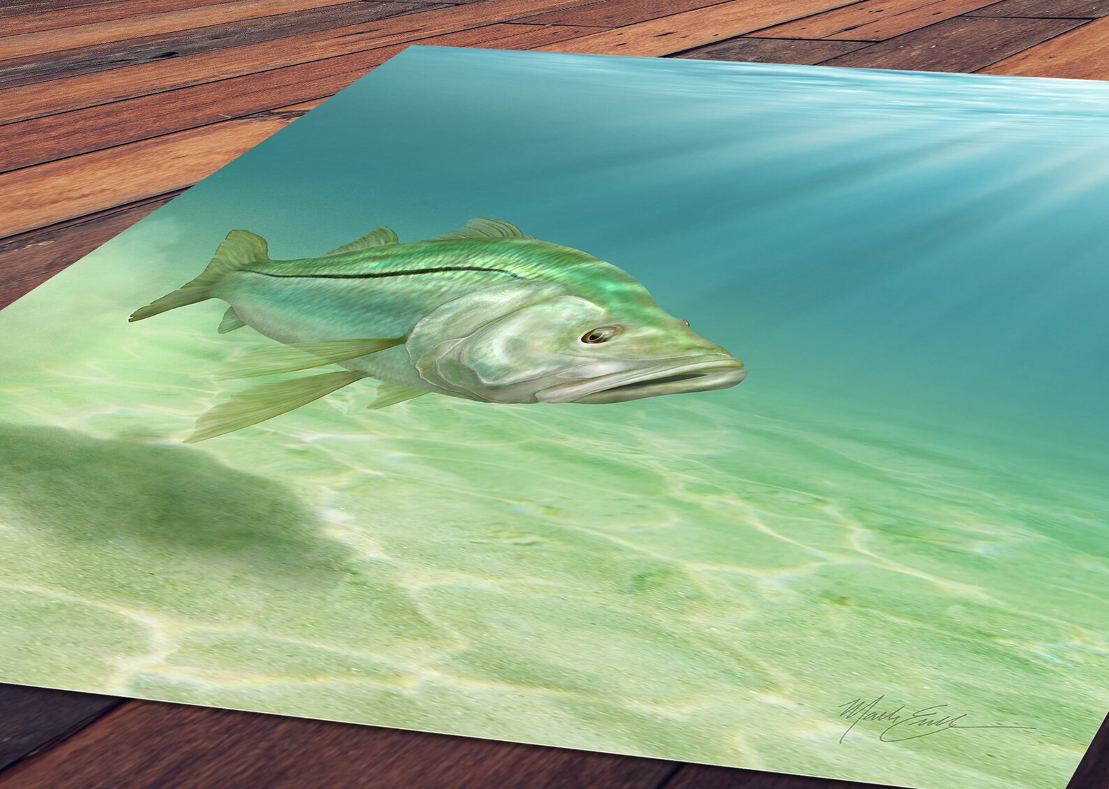 Snook Art Print Fishing Gift for a Saltwater Fisherman Etsy UK