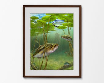 Large Mouth Bass Fishing - Etsy