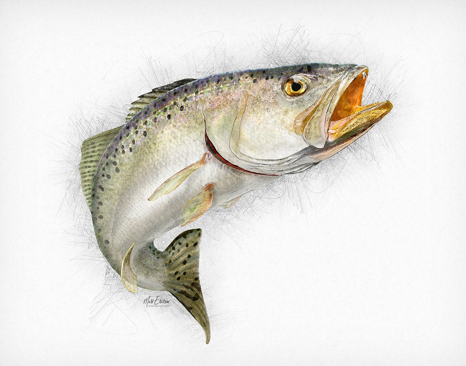 Speckled Seatrout Art Print Fisherman's Gift, Speckled Trout Art