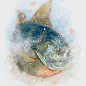 Bluegill watercolor style fish art print digital painting fishing decor, bluegill art, bream art print