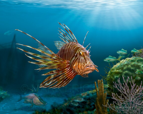 ネイチャーアート「ミノカサゴ」　水彩画 ネイチャーアート「ミノカサゴ」水彩画