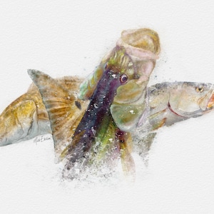 Inshore slam art print fishing wall décor gift for a Florida fisherman. Snook, redfish and speckled trout art, hand-signed