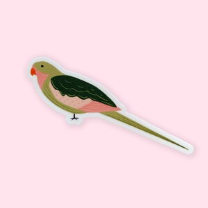 Adesivo pappagallo bella principessa - Vinile fustellato con simpatico uccello illustrato, laminato, impermeabile, antigraffio, adesivo lucido protetto dal sole UV