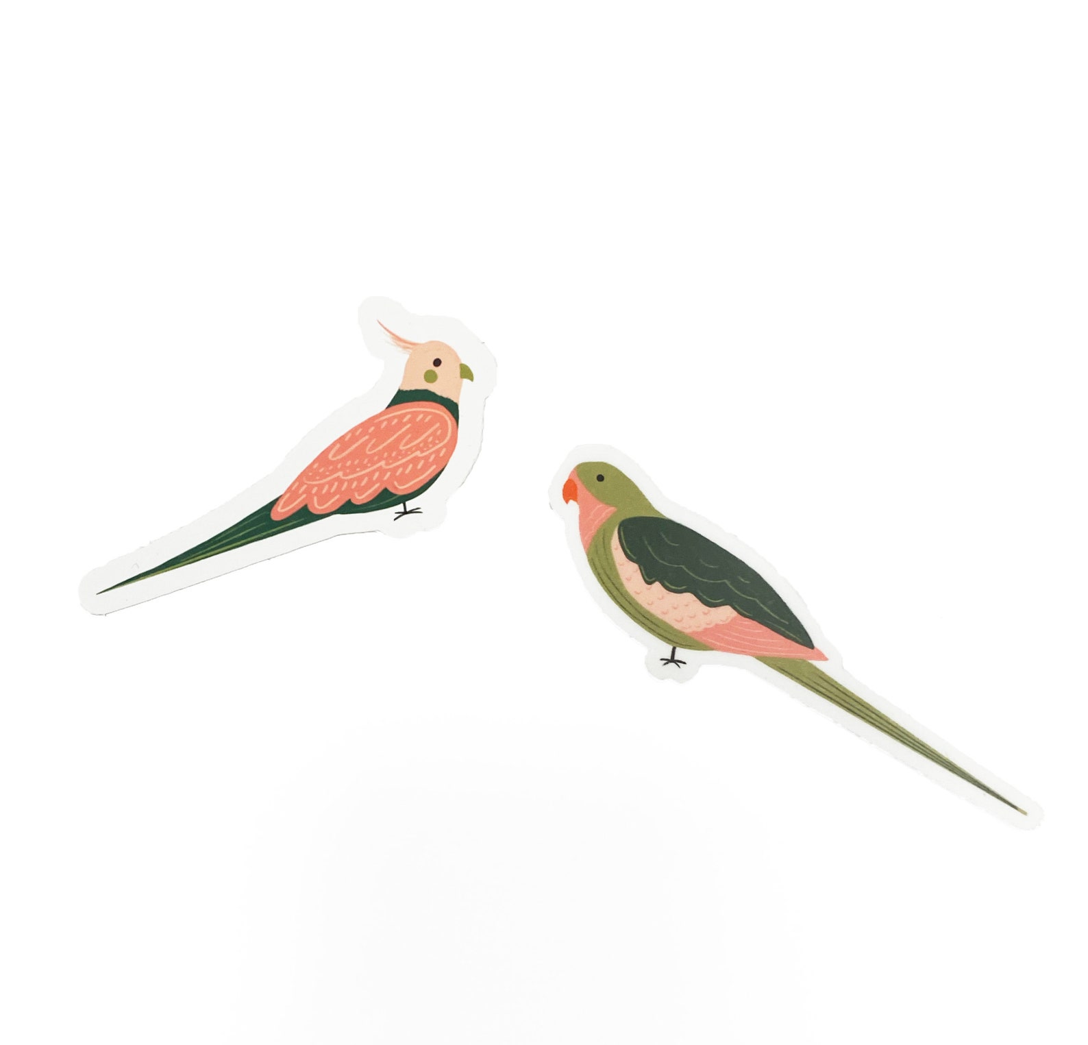 Bird Sticker Set - Colourful Cockatiel & Pretty Princess Parrot ...