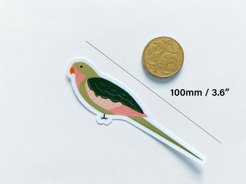 Bird Sticker Set - Colourful Cockatiel & Pretty Princess Parrot ...