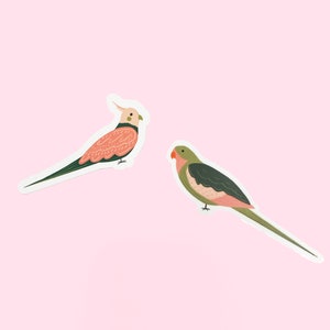 Conjunto de adesivos de pássaros - adesivos coloridos de calopsita e linda princesa papagaio - adesivos de vinil cortados em vinil bonitos ilustrados de pássaros verdes e rosa