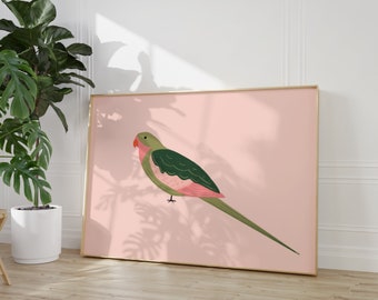 Illustration d'un joli perroquet princesse - Illustration d'un mignon oiseau rose - Format A5 ou A4