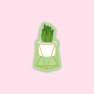 Adesivo Cactus - Simpatico supporto per piante illustrato Vinile fustellato succulento, laminato, impermeabile, antigraffio, adesivo lucido protetto dal sole UV