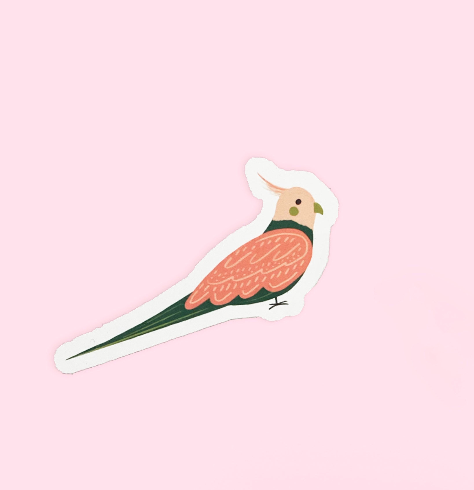 Bird Sticker Set - Colourful Cockatiel & Pretty Princess Parrot ...