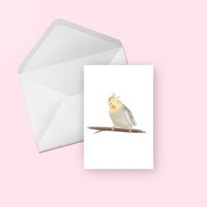 Cartão de felicitações de calopsita - lindo aniversário de papagaio pássaro weiro ilustrado/obrigado/parabéns/amigo/cartão em branco genérico