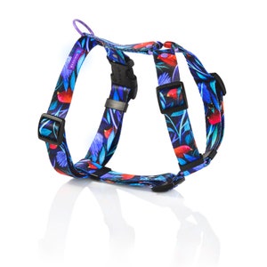 May include: A dog harness with a colourful floral pattern in blue, red, and green. The harness has adjustable black buckles and a purple loop for leash attachment. The design features a repeating pattern of stylised flowers and leaves.