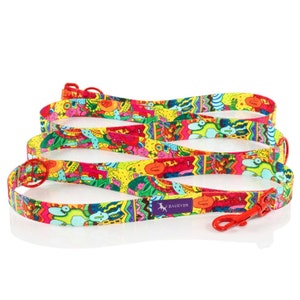 Funny dog leash, personalized colorful leash, soft webbing dog leash, adjustable dog leash, dog lover gift, puppy leash