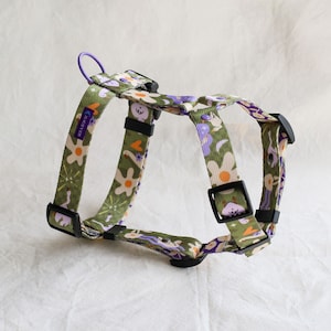 May include: A green, purple, and black dog harness with a floral pattern. The harness has a purple adjustable strap and a black buckle. The harness is made of a soft, comfortable material and is designed for small dogs.