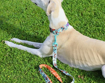 Dog leash TRICK OR TREAT dog leash, webbing, spooky pattern, dog lead, orange dog leash for stylish dog