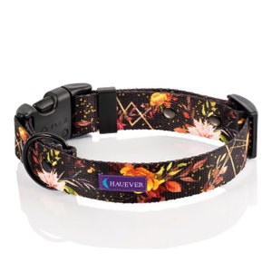 May include: A black dog collar with a floral print featuring orange, yellow, and red flowers on a black background with gold accents. The collar has a black buckle and a metal D-ring. The collar is labelled "HAUEVER".