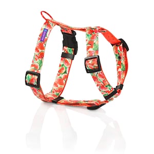 Adjustable watermelon soft dog harness, watercolor dark guard harness, soft webbing dog harness for puppy, personalized dog harness