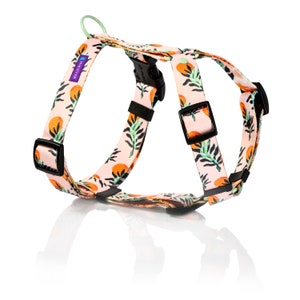 Adjustable soft dog harness, watercolor Borneo boho guard harness, soft webbing dog harness for puppy, personalized dog harness bulldog