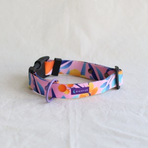 Adjustable PINK ORANGES dog collar, boho colorful dog collar, nature dog collar with buckle, trendy dog, fashion dog collar, boho collar