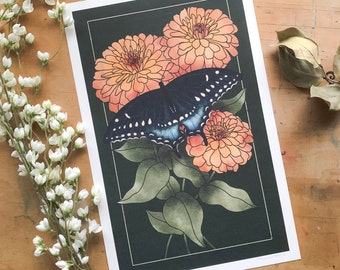 Black Swallowtail & Zinnias Botanical Butterfly Print - 11 x 17 in.