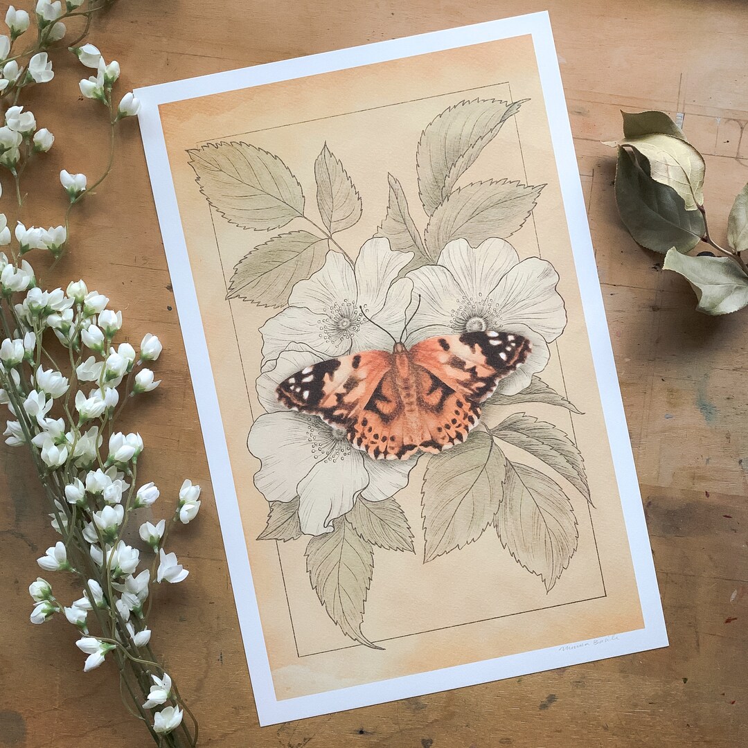 Painted Lady & Wild Rose Botanical Butterfly Print 11 X 17 In. - Etsy