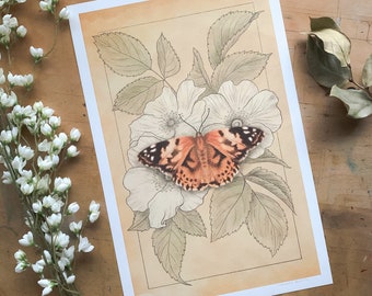 Painted Lady & Wild Rose Botanical Butterfly Print - 11 x 17 in.