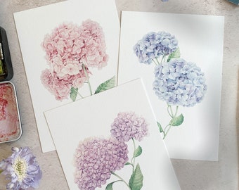 Hydrangea Watercolor Print Set of 3 – Botanical Floral Illustration, 5x7 Art